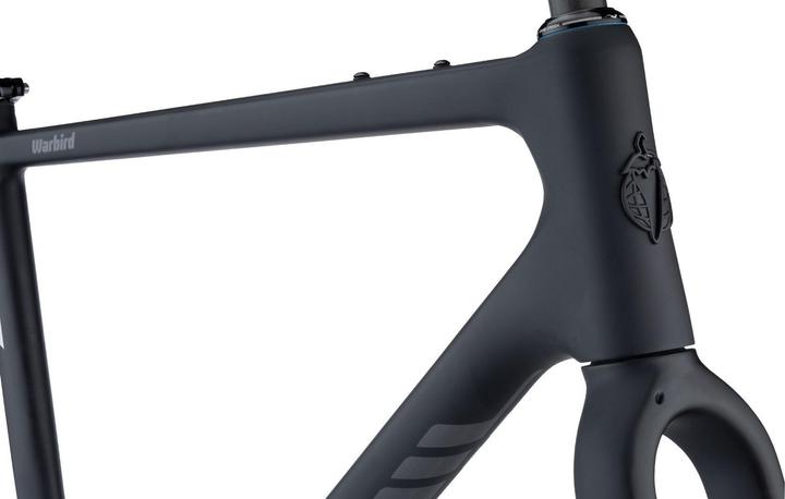 Actual product image Salsa Warbird Carbon Frame Set, 650B/700C, 61cm, black