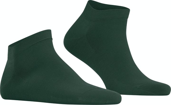 Produktbild Falke Cool 24/7 (Einzelpack, 41 - 42)
