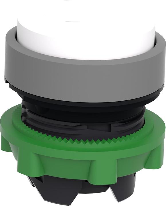 Actual product image Schneider Electric Push-button, front, plastic, ZB5AL1C0
