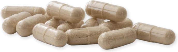 Actual product image Raab Melissa valerian with hops and lavender organic (60 Piece, Capsules)