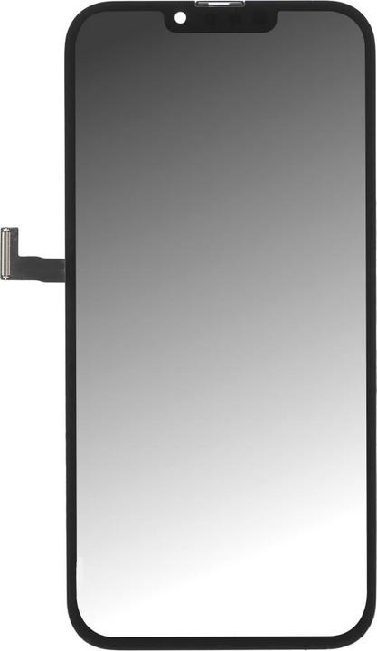 OEM Diagnostizierbare JCID Display für iPhone 13 Pro (Popup-Problem lösen) (Display, iPhone 13 Pro)