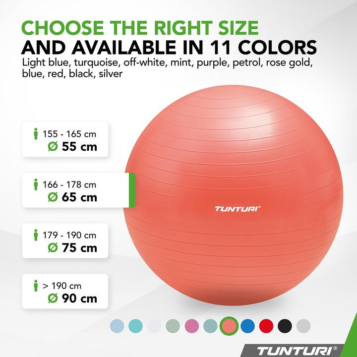 Image du produit Tunturi Gym Ball - Fitnessball reissfest ABS 65 cm Orange (65 cm)