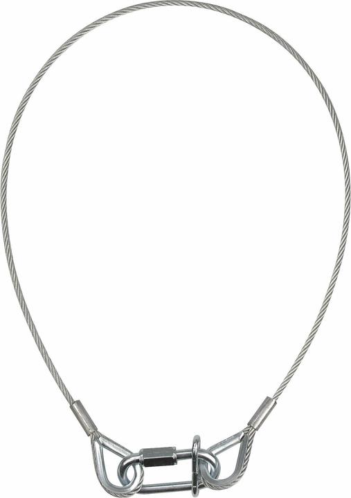 Image du produit Showtec Câble de sécurité BGV-C1, 60 cm