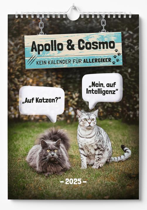 Image du produit Apollo & Cosmo - Pas de calendrier pour les personnes allergiques (A3, Allemand)