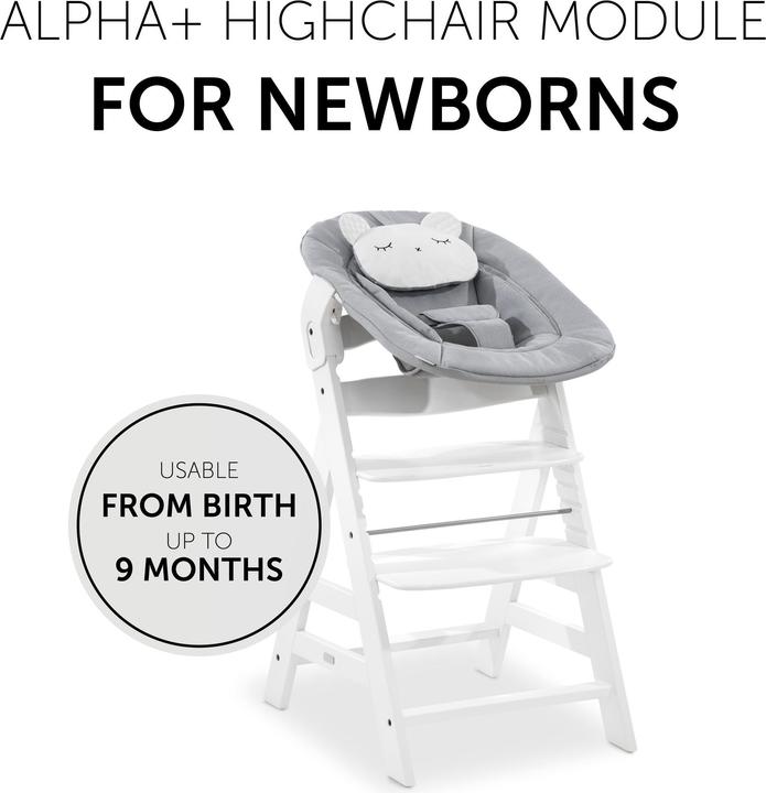 Actual product image Hauck Alpha Bouncer 2in1