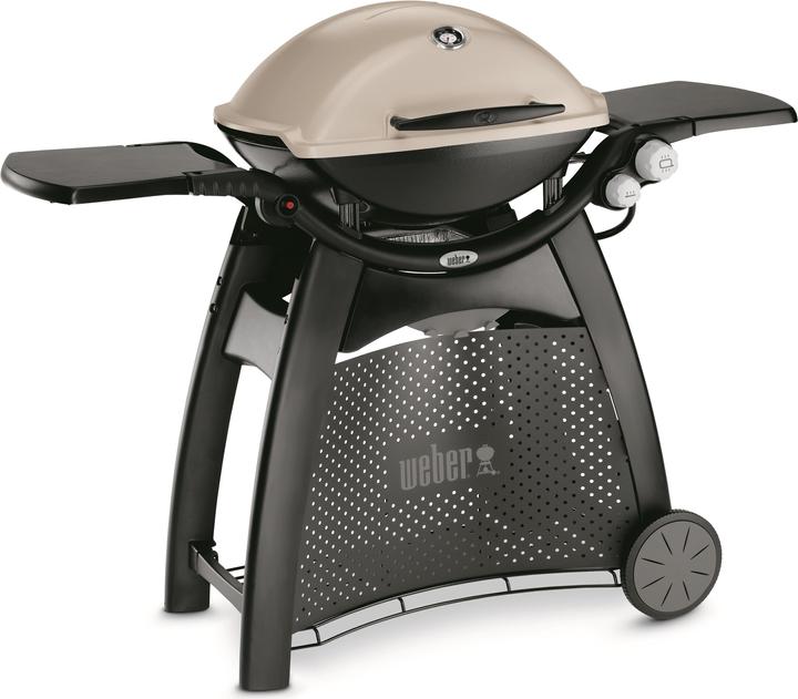 Actual product image Weber Q 3000 (6.30 kW)