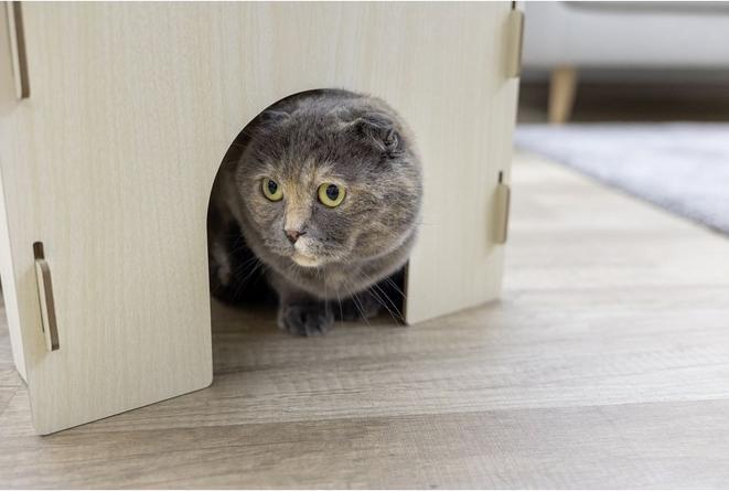 Actual product image Kerbl Cat castle 37x37x30 cm with cushion (Cat scratching toy)