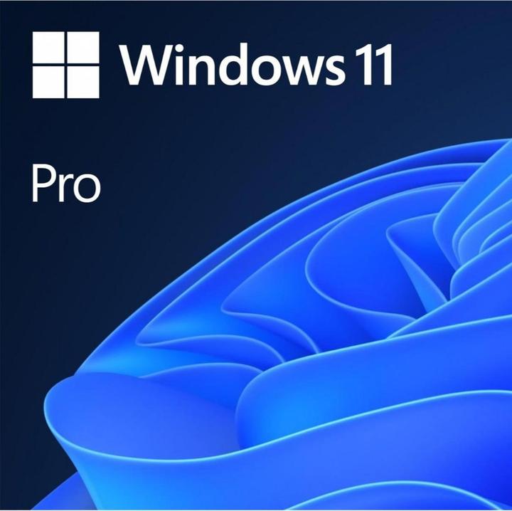 Microsoft Windows 11 Pro (1 User, unbegrenzt)