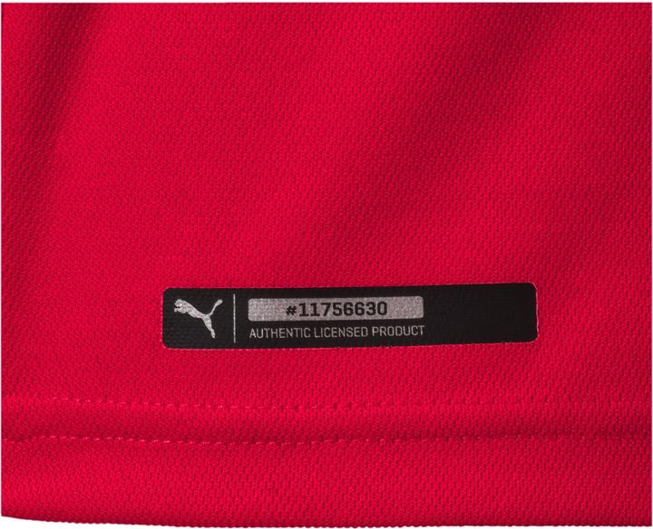 Actual product image Puma Serbia Home Replica World Cup 2018 (S)