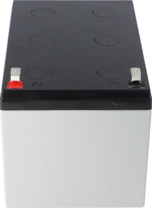 Actual product image Yuasa Akku NP12-12 (12 V, 12 Ah)