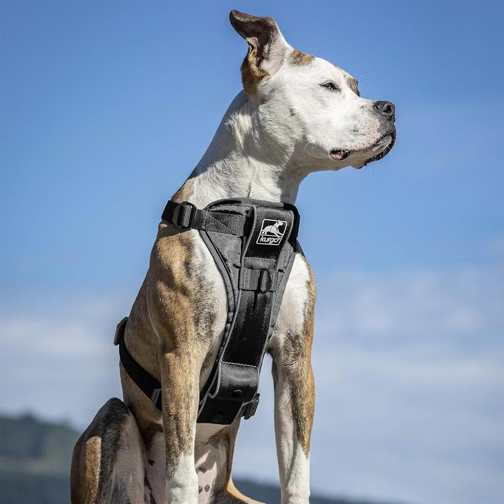 Produktbild Kurgo Tru-Fit Smart Hundegeschirr (S, Hund, Spazieren, Hundesport, Jogging, Allgemein)