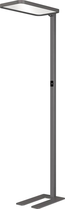 Actual product image Hansa Floor Lamp Sapphire LED Anthracite (7500 lm)