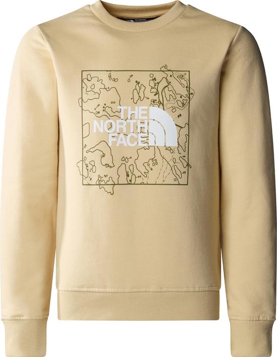 North Face New Graphic Crew