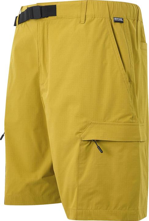 Actual product image Regatta Mens Mallen Shorts (3XL)