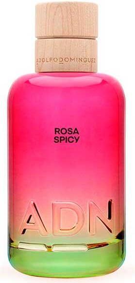 Immagine prodotto Adolfo Dominguez Adn Rosa Spicy 100 Edp (Eau de parfum, 100 ml)