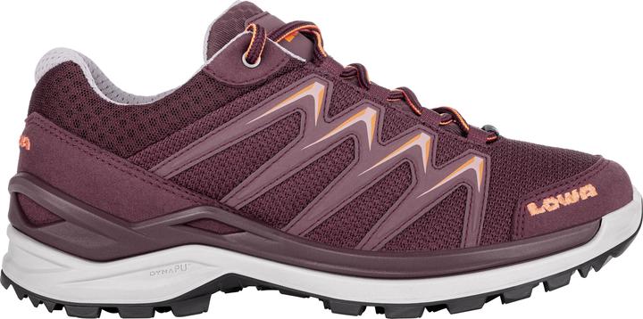 Produktbild Lowa Innox Pro GTX LO (41.5)