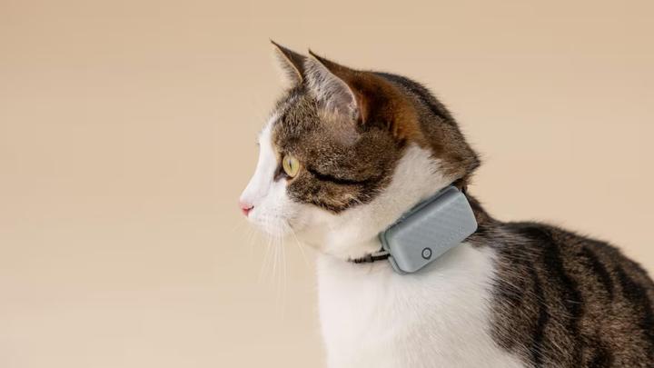 Productafbeelding Tractive GPS CAT Mini - mint (Eén maat voor iedereen, Kat, Algemeen)