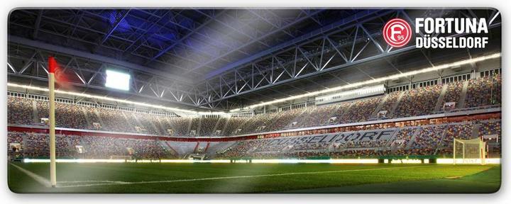 Fortuna Düsseldorf Esprit Arena Eckfahne