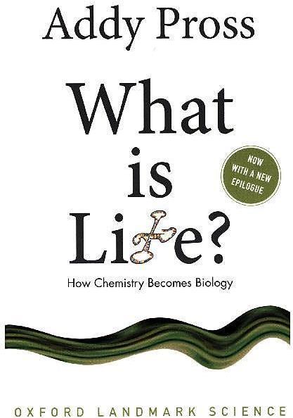 Image du produit What is Life? (Anglais, Addy Pross, 2016)