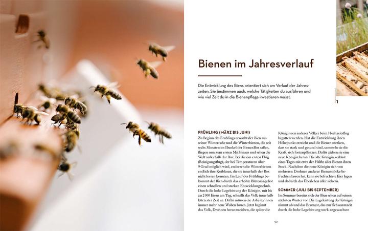 Actual product image Kosmos Bienen halten mit der BienenBox (German, John Weber, 2024)