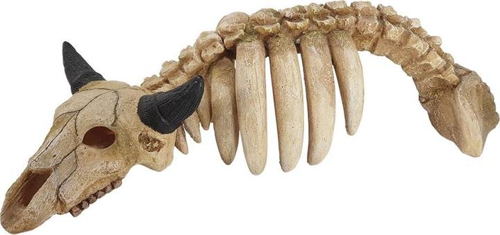 Actual product image Nobby aquarium decoration animal skeleton (Embellishment, other items)