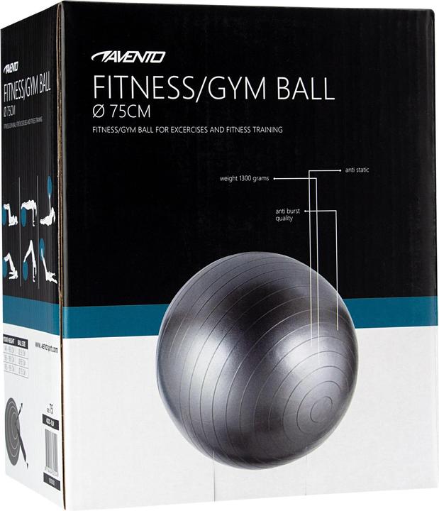 Actual product image Avento High school. ball 42OC 75cm Silver (75 cm)