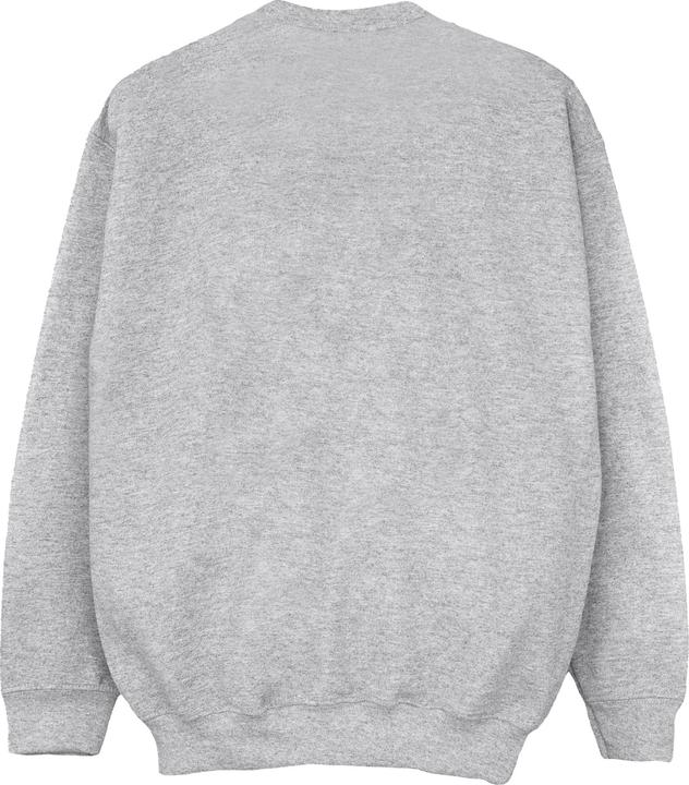 Actual product image Disney Girls Encanto Mirabel Flower Sweatshirt (116)