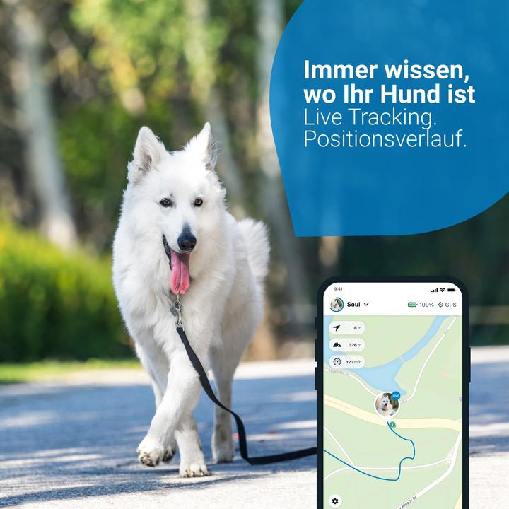 Productafbeelding Tractive Dog 4 GPS Tracker voor honden (Kat, Hond, Loop)
