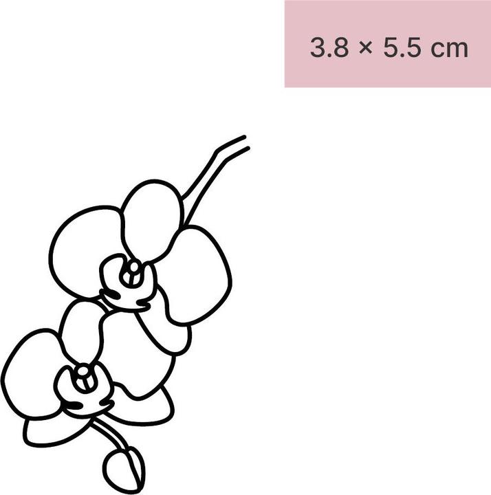 Produktbild minink Temporäres Tattoo – Zwei Orchideen