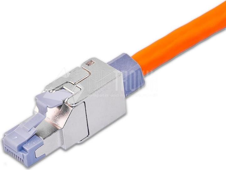 Wirewin Cavo di rete (UTP, CAT6, 0.15 m)