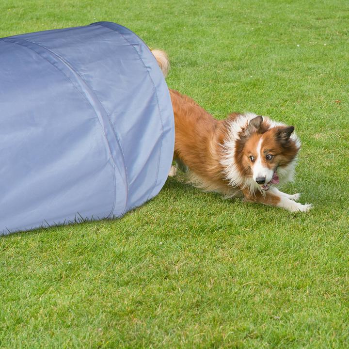 Immagine prodotto Relaxdays Tunnel per cani (Destrezza)