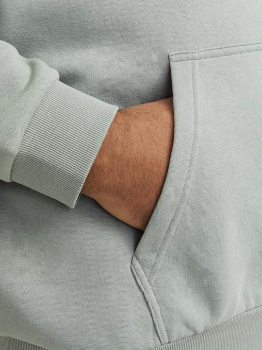 Produktbild Jack & Jones Jjebradley Sweat Hood Noos Pls (3XL)