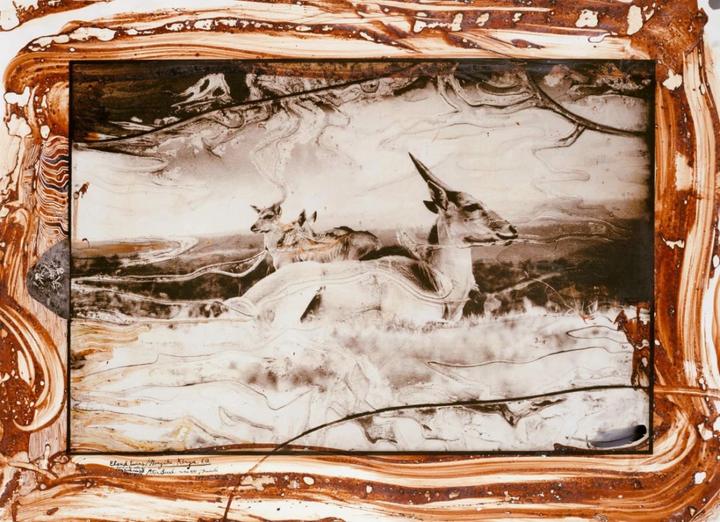 Actual product image Peter Beard (German, English, French, David Fahey, Owen Edwards, Steven M. L. Aronson, Nejma Beard, 2020)