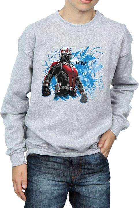Actual product image Boys Ant-Man Standing Sweatshirt (152, 158)