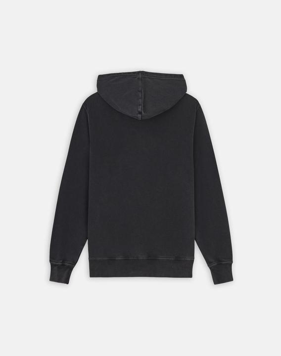 Actual product image Dickies Plentywood Hoodie Black (S)
