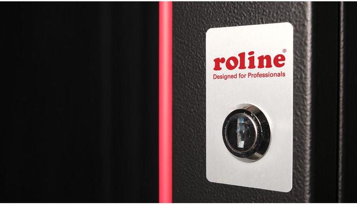 Image du produit Roline Coffret mural 19 pouces Pro 20 UH (10.86 HE, Rack 19 pouces)