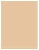 Produktbild Wet n Wild Wet 'n' Wild Bare Focus Clarifiant Finish Powder 1114480E (Light-Medium, Bronzer, 6 g)