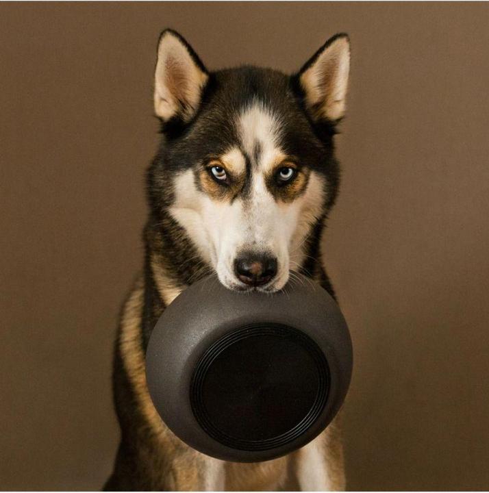 Actual product image District 70 Bamboo Dog Bowl (1 l)