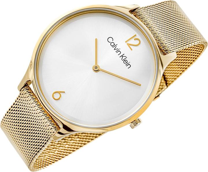 Image du produit Calvin Klein Timeless Mesh Damenuhr 25200003 + BOX (Montre analogique)