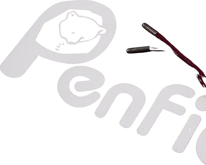 Immagine prodotto Penfield felpa con cappuccio bear chet print bb (S)