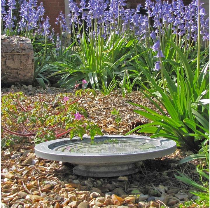Actual product image Wildlife World Oasis bird bath 30 x 30 x 5.5 cm
