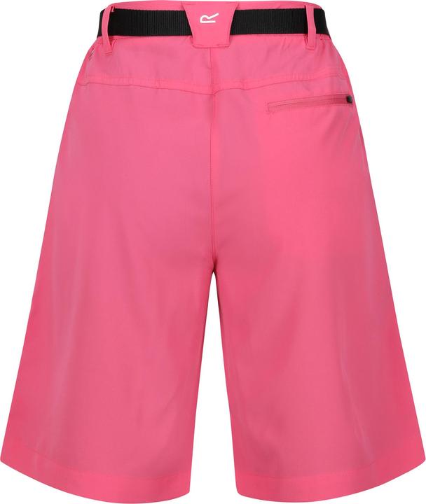 Actual product image Regatta Womens/Ladies Xert Stretch Shorts (36)