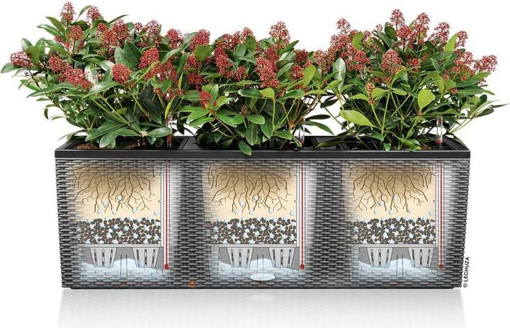 Produktbild Lechuza Blumentopf Trio Cottage 40 (42 cm)