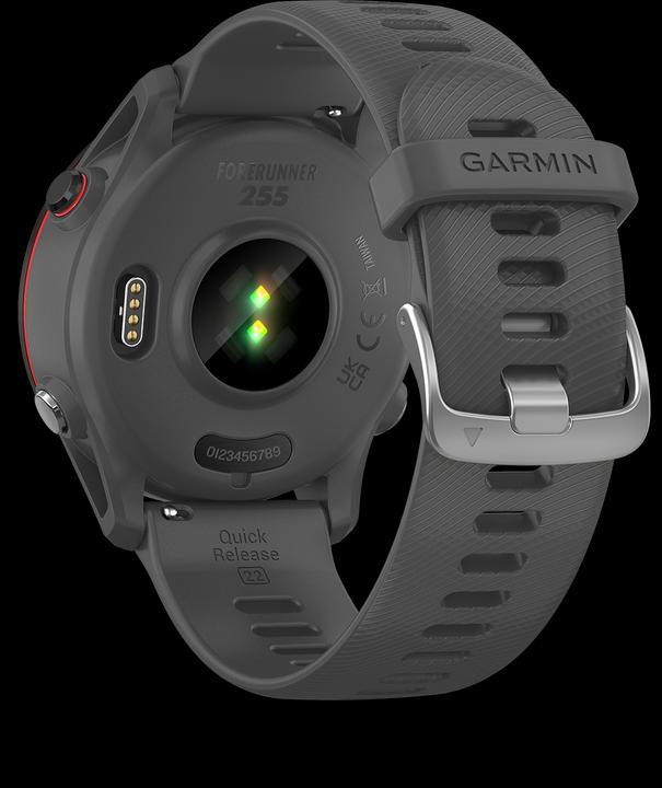 Actual product image Garmin Forerunner 255 (46 mm)