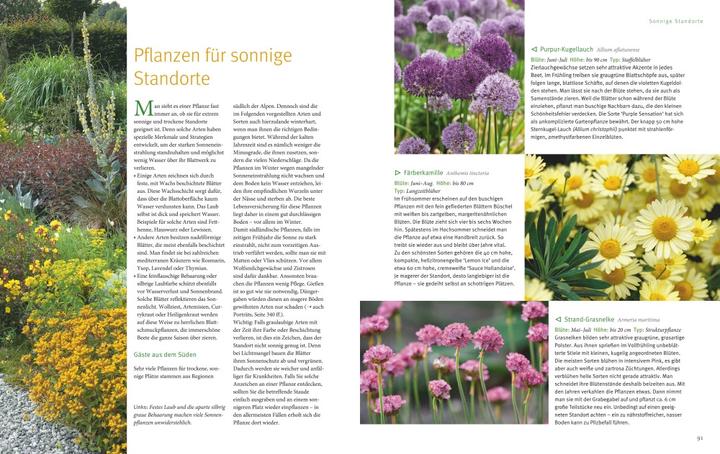 Produktbild Beetgestaltung für jeden Standort (Deutsch, Andreas Barlage, 2018)