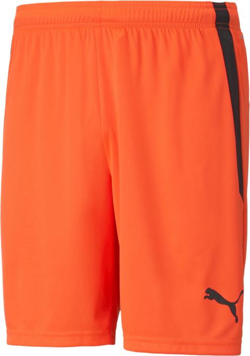 Actual product image Puma teamLIGA Shorts-704924 (L)