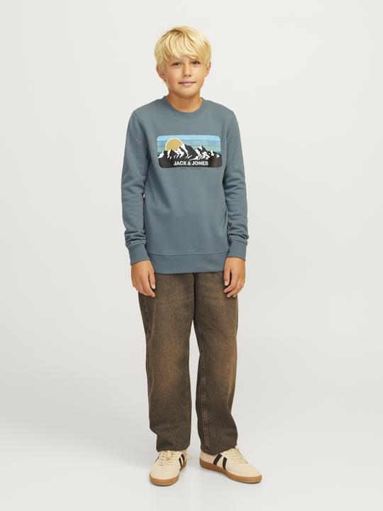 Actual product image Jack & Jones Printed sweatshirt with round neck Sweatshirt with round neck (164)