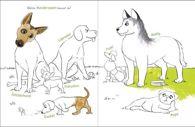 Produktbild Mal doch mal! - Ein Tag mit meinem Hund (Deutsch, Pattloch Verlag, Nataša Kaiser, 2024)