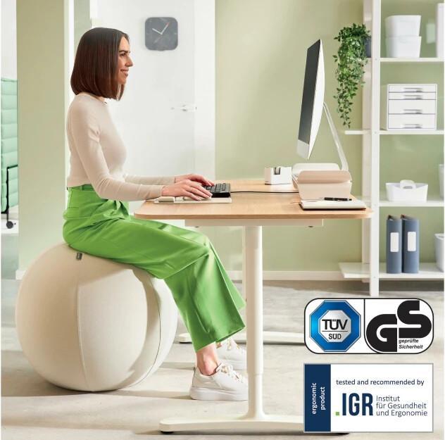 Produktbild Leitz Ergo Active Sitzball (65 cm)