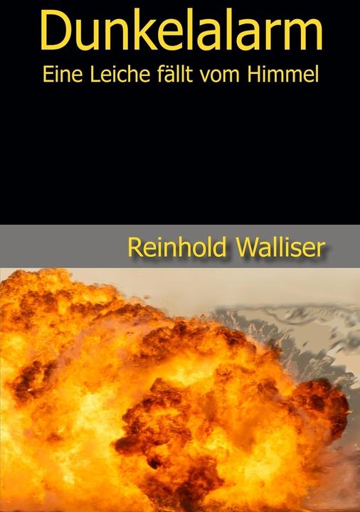 Image du produit tolino Dunkelalarm (Allemand, Reinhold Walliser, 2023)